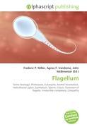 Flagellum
