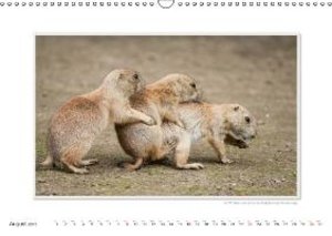 Emotional Moments: Wild Animal Sex. UK-Version (Wall Calendar 2015 ...