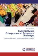 Potential Micro Entrepreneurial Borrowers: Challenges - Jamal Mohammed