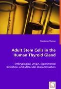 Adult Stem Cells in the Human Thyroid Gland - Thomas, Theodoros