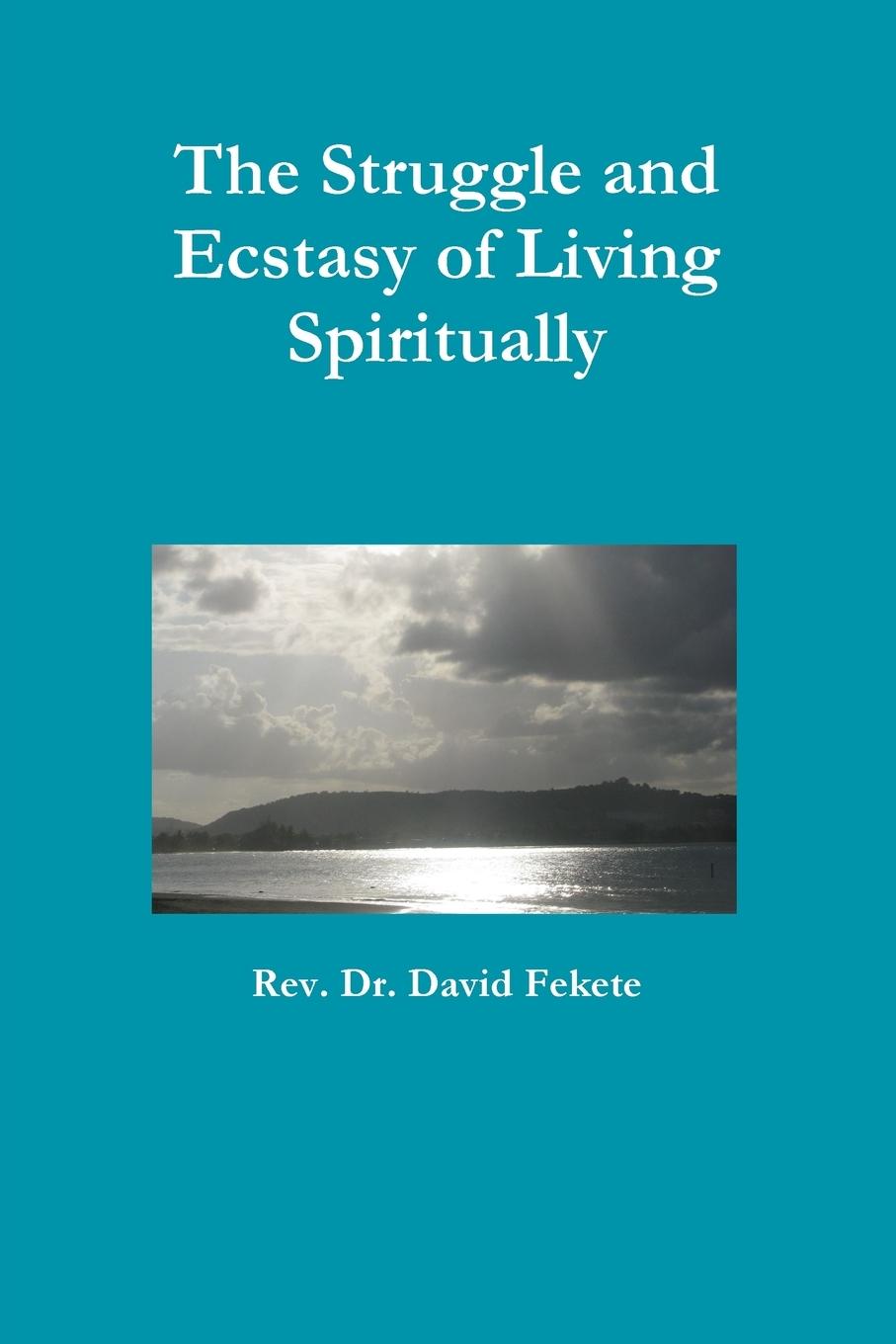 The Struggle and Ecstasy of Living Spiritually - Fekete, Rev David