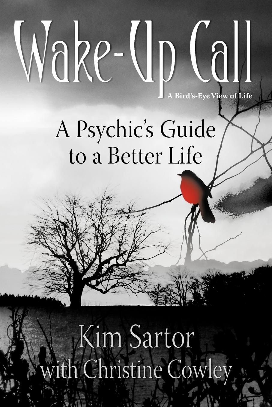 Wake Up Call - Sartor, Kim