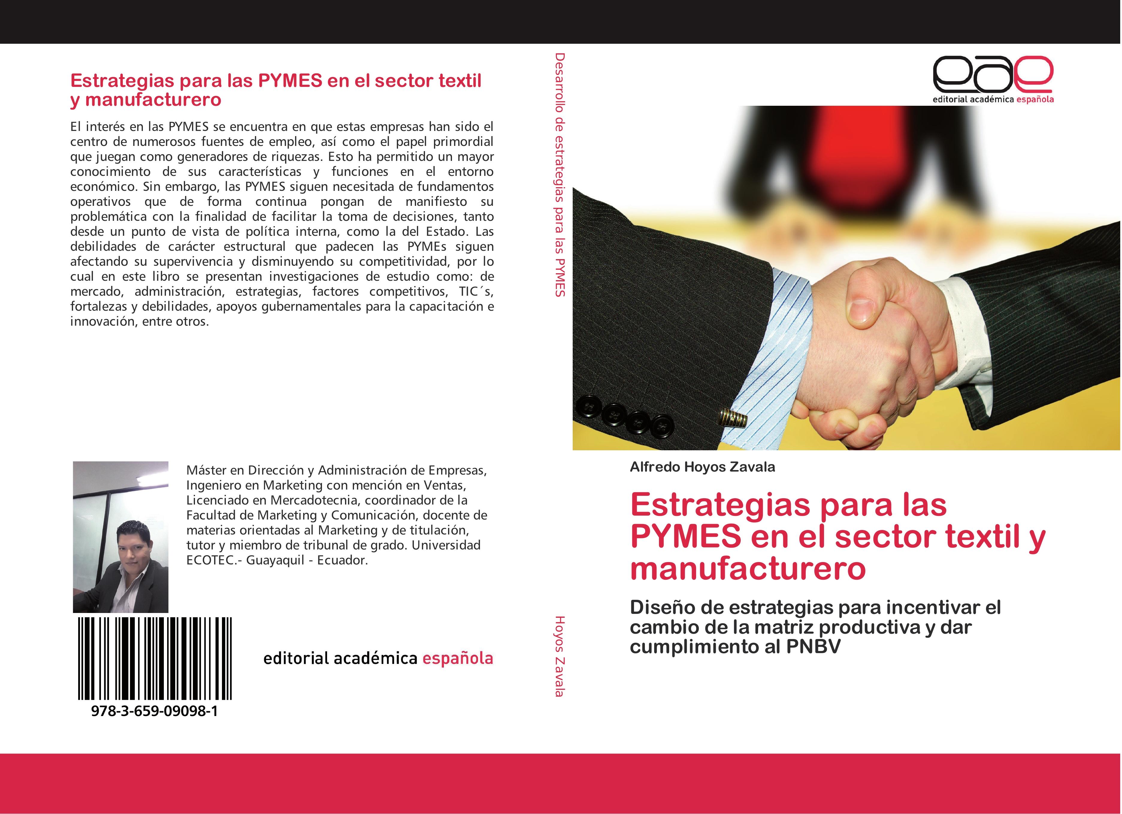 Estrategias para las PYMES en el sector textil y manufacturero - Hoyos Zavala, Alfredo