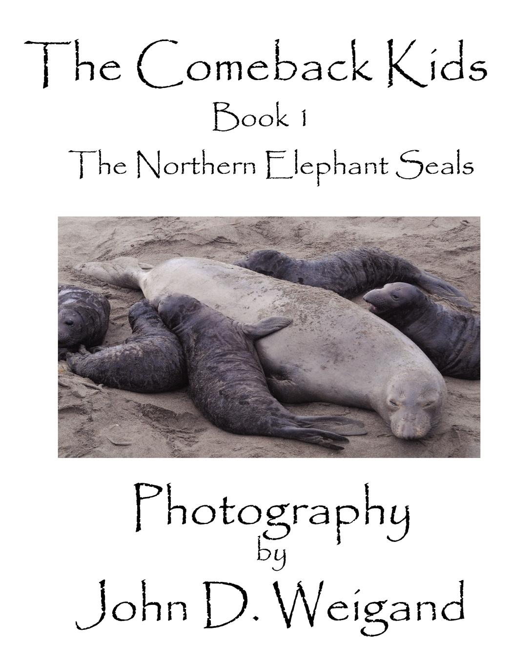 The Comeback Kids   Book 1, The Northern Elephant Seals - Dyan, Penelope