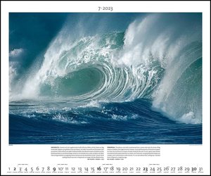 Poster-Kalender 60x50: Ocean Life Bild-Kalender Lebensraum Meer 2022 