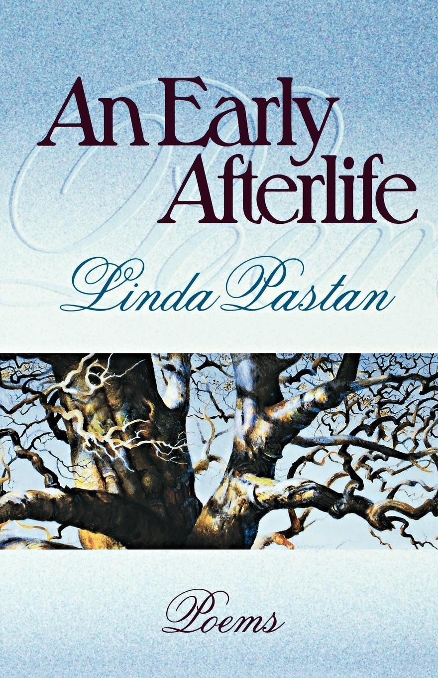 An Early Afterlife - Pastan, Linda