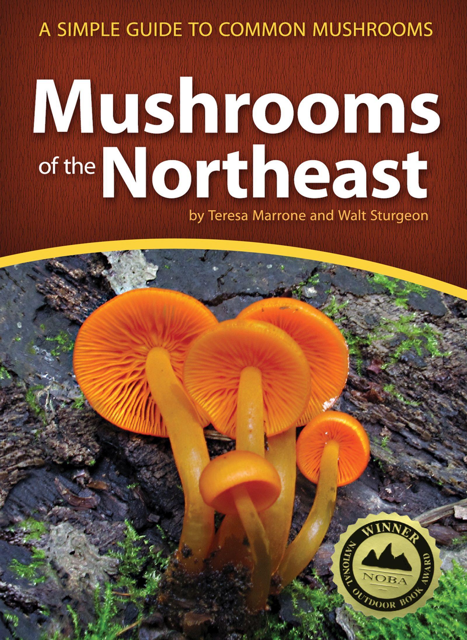 Mushrooms of the Northeast: A Simple Guide to Common Mushrooms - Marrone, Teresa Sturgeon, Walt
