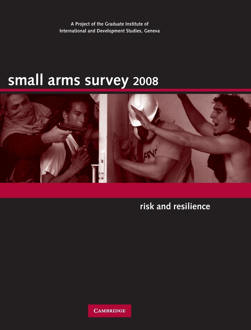 Small Arms Survey: Risk and Resilience - Small Arms Survey Geneva