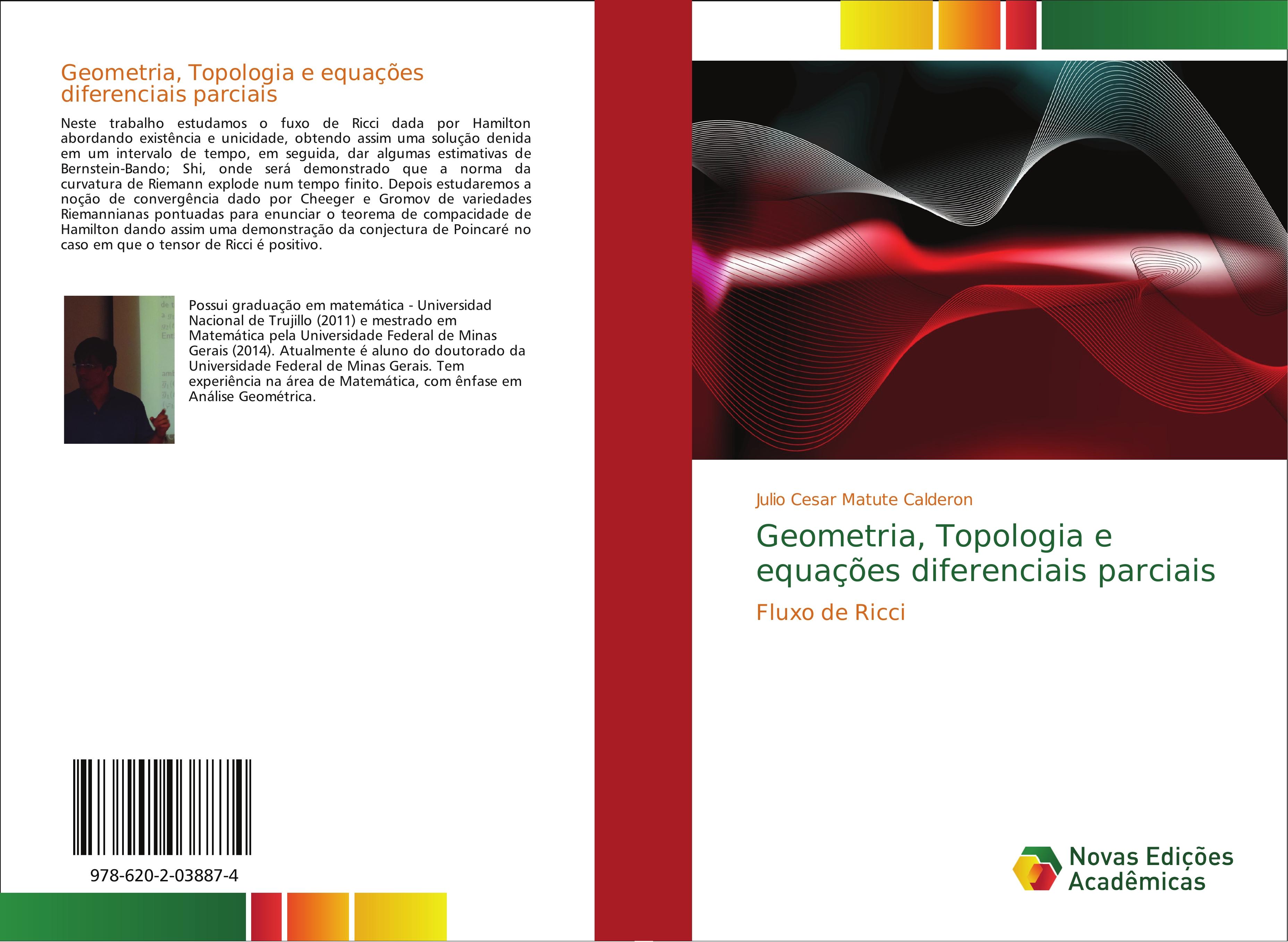 Geometria, Topologia e equações diferenciais parciais - Julio Cesar Matute Calderon