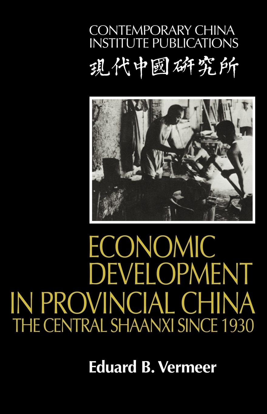 Economic Development in Provincial China - Vermeer, Eduard B.