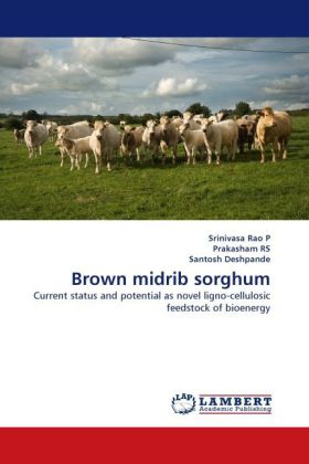 Brown midrib sorghum - P, Srinivasa Rao Rs, Prakasham Deshpande, Santosh