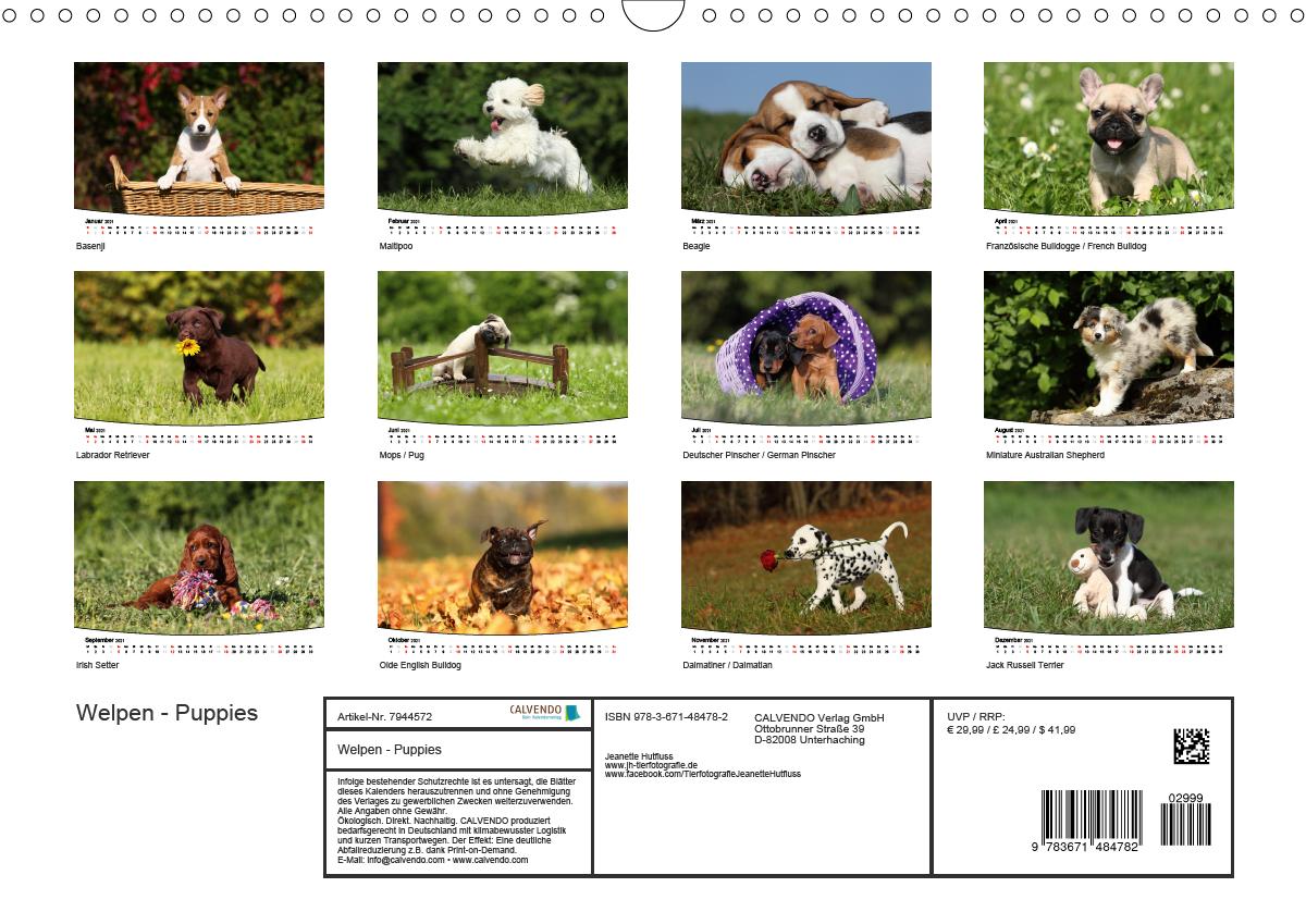 Welpen   Puppies Wandkalender 20 DIN A20 quer [2069966081]   20 ...