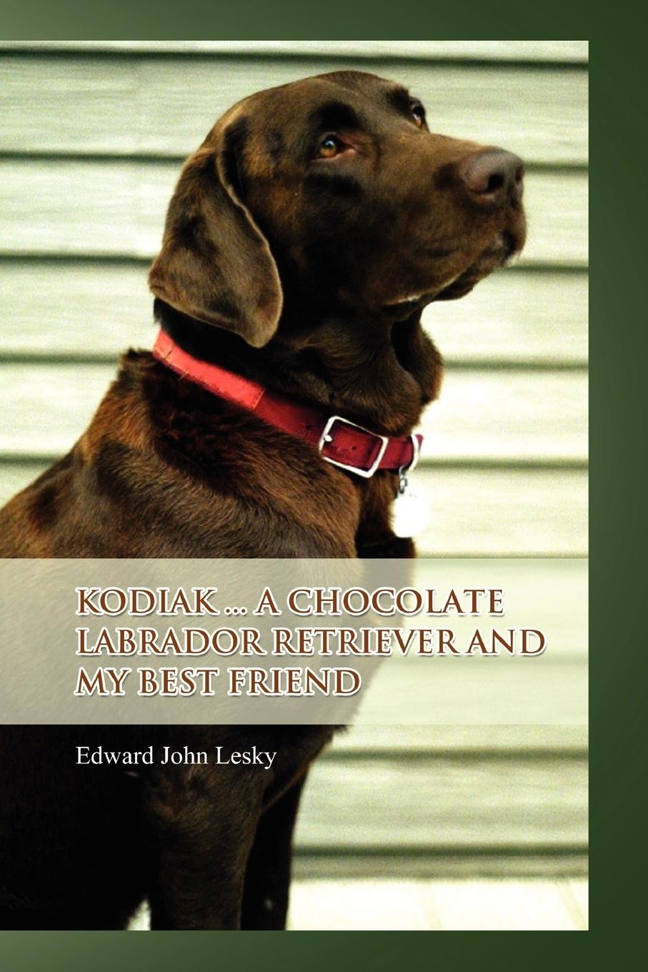 Kodiak ... A Chocolate Labrador Retriever and my best friend - Lesky, Edward John