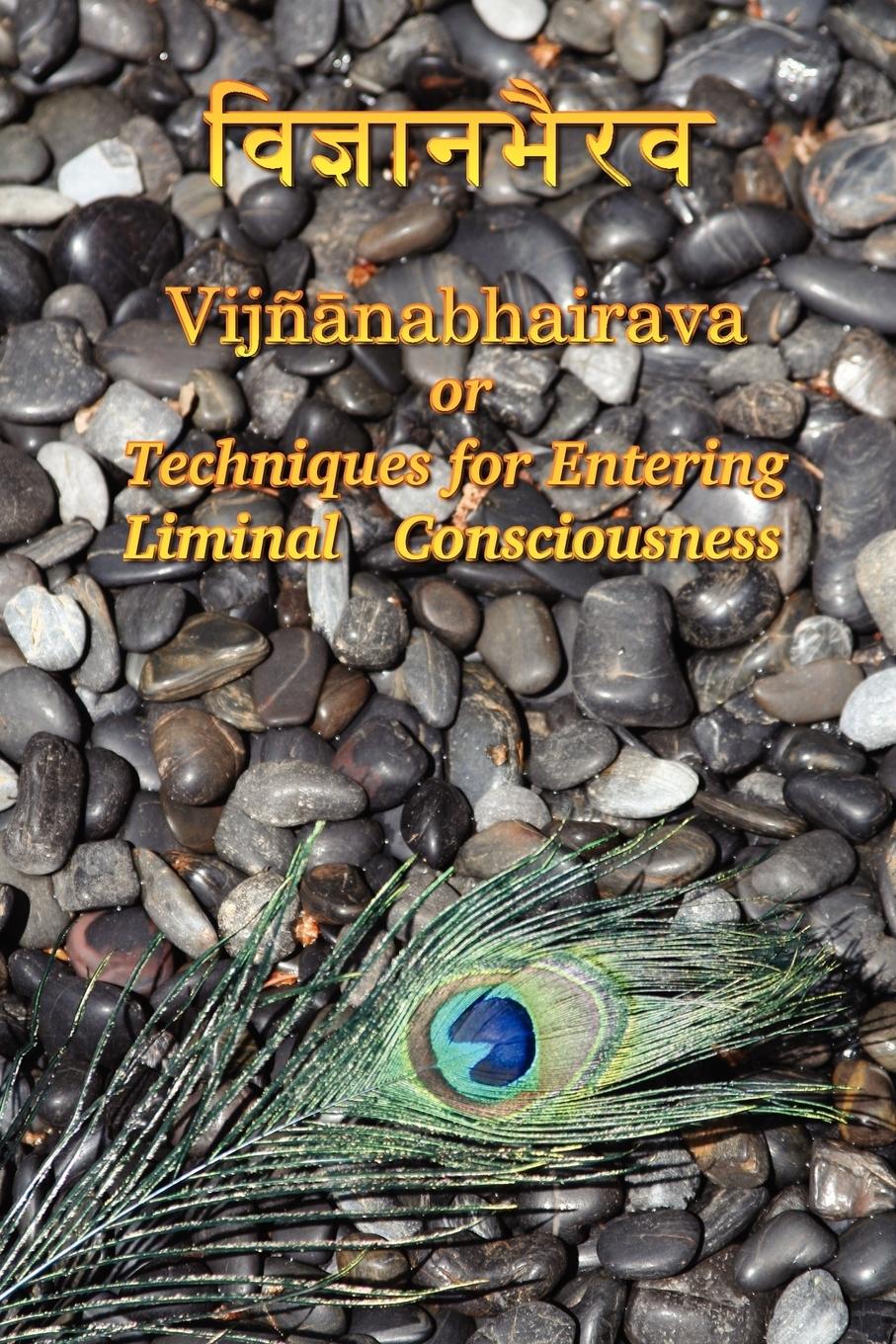 Vijnaanabhairava or Techniques for Entering Liminal Consciousness - Semenov, Dmitri
