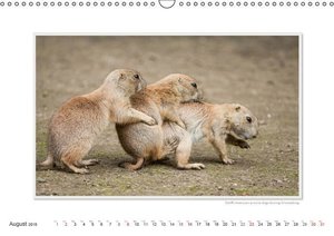 Emotional Moments: Wild Animal Sex. UK-Version (Wall Calendar 2015 ...