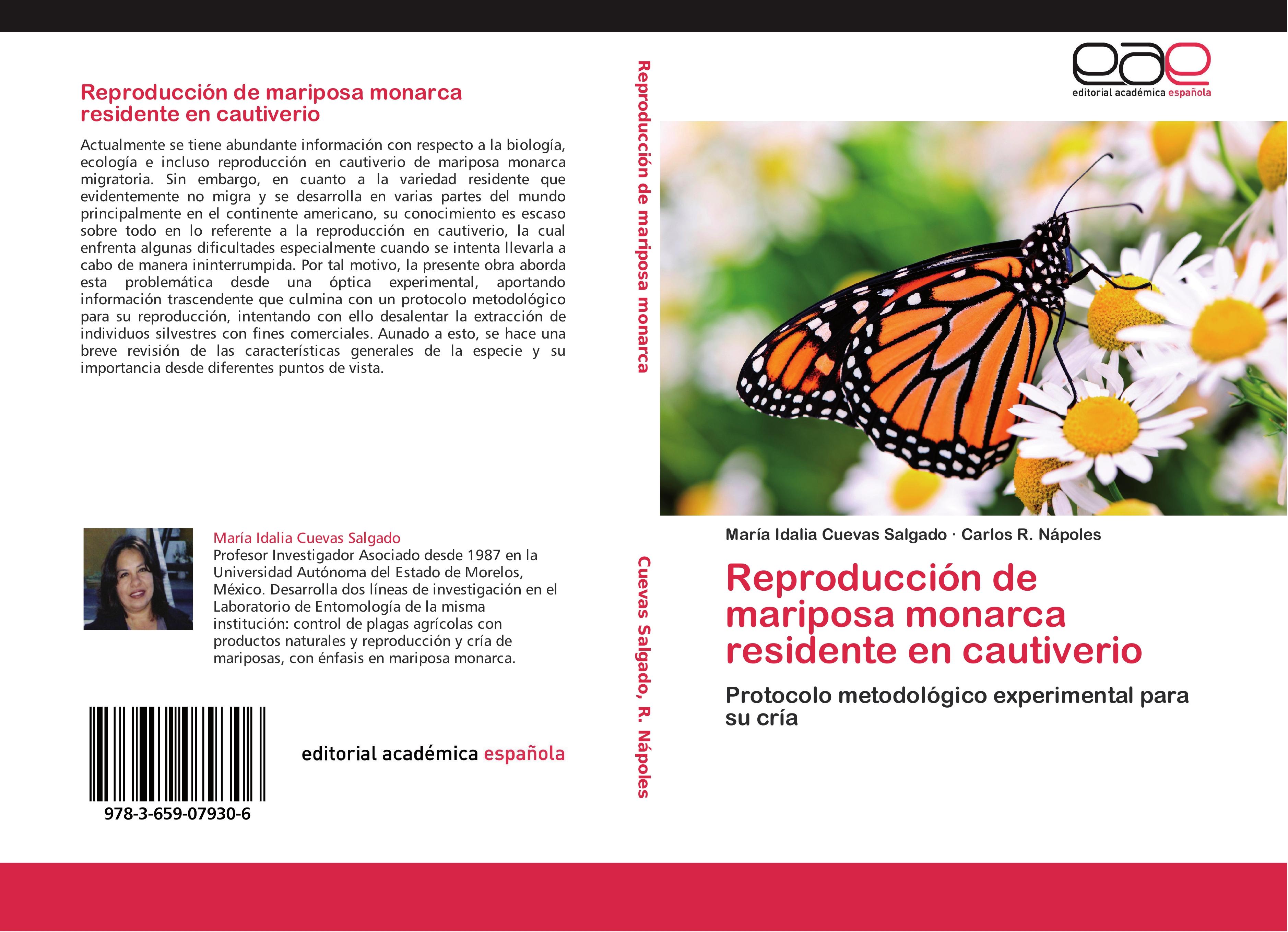Reproducción de mariposa monarca residente en cautiverio - María Idalia Cuevas Salgado Carlos R. Nápoles