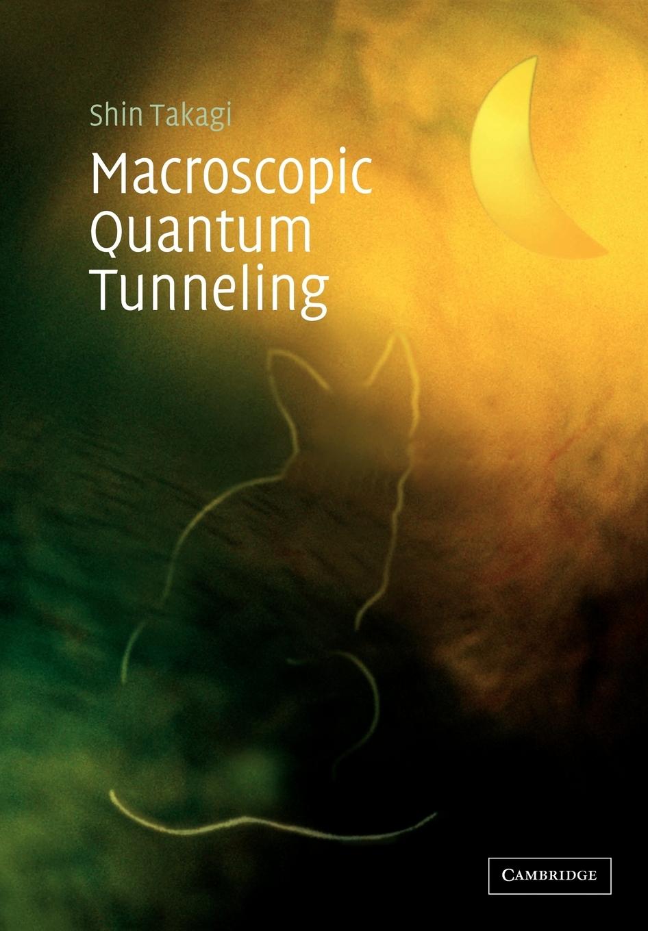 Macroscopic Quantum Tunneling - Takagi, Shin