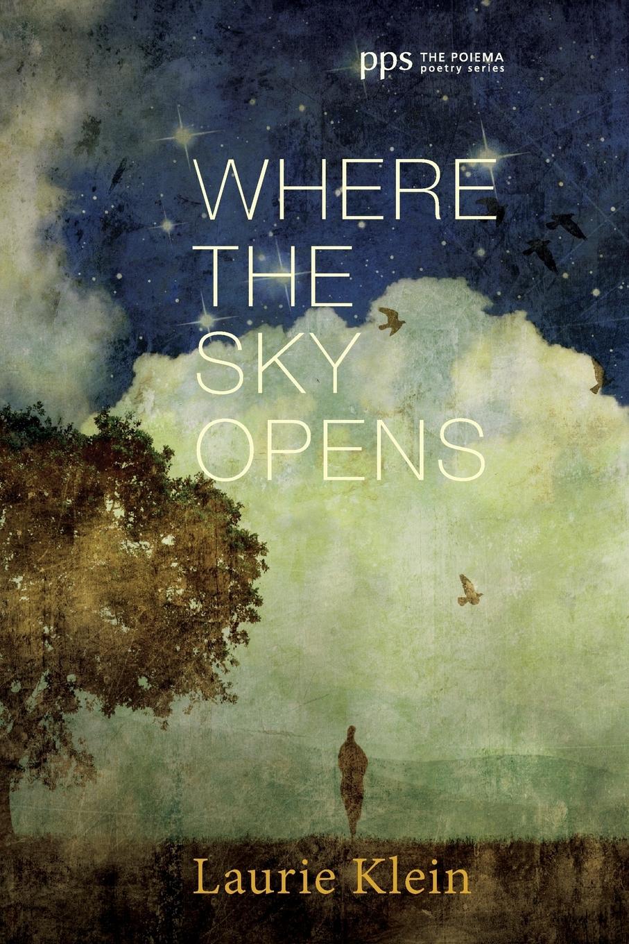 9781498230902 - Where the Sky Opens Laurie Klein Author - Laurie Klein