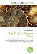 Fossils of the Burgess Shale