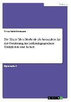 Die Marte Meo-Methode als besondere Art der Foerderung im heilpaedagogischen Voltigieren und Reiten - Schleifenbaum, Tessa