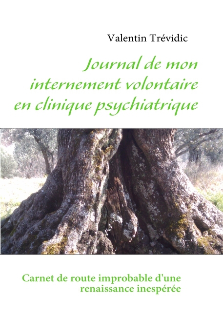 Journal de mon internement volontaire en clinique psychiatrique - Trévidic, Valentin