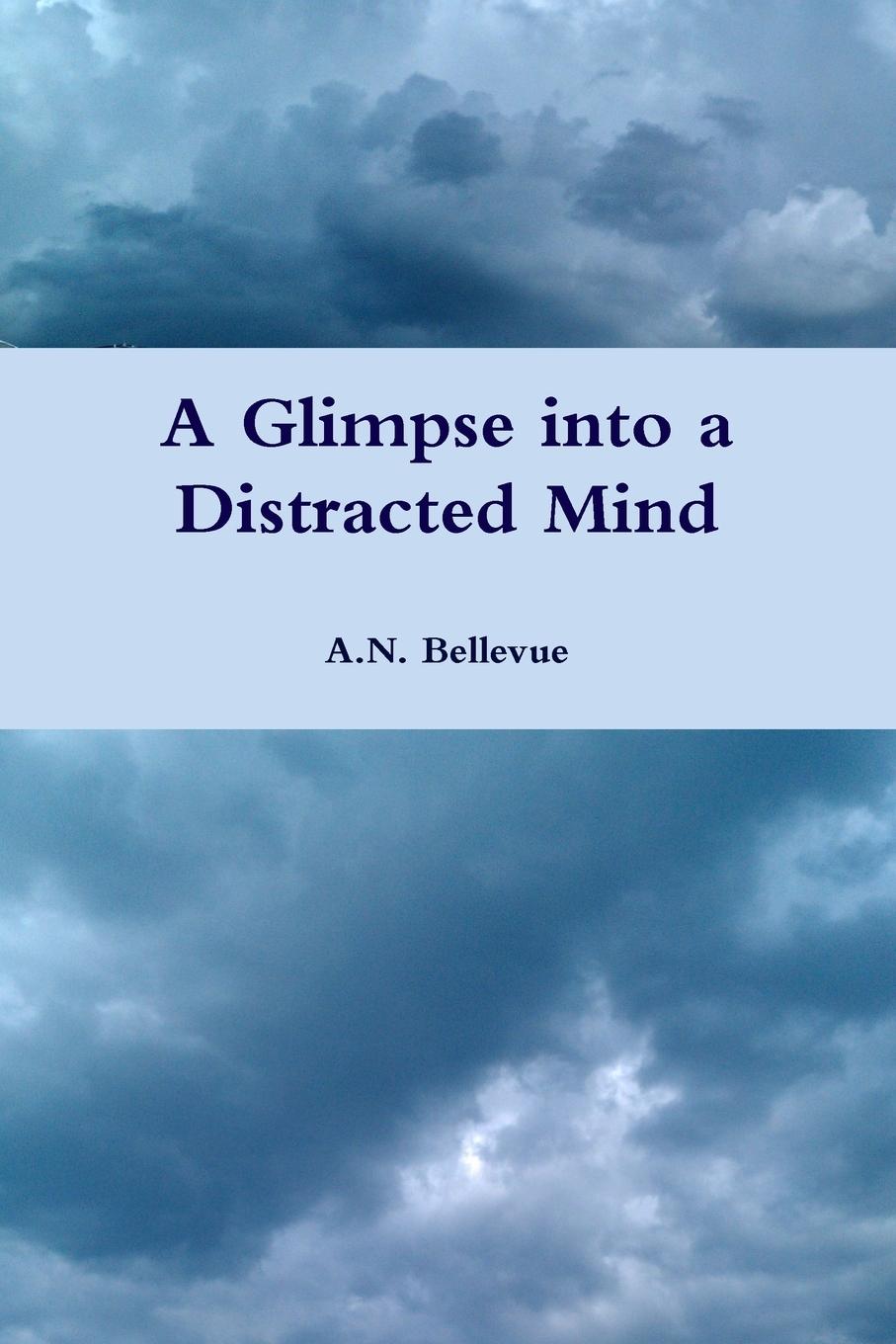 A Glimpse into a Distracted Mind - Bellevue, A. N.