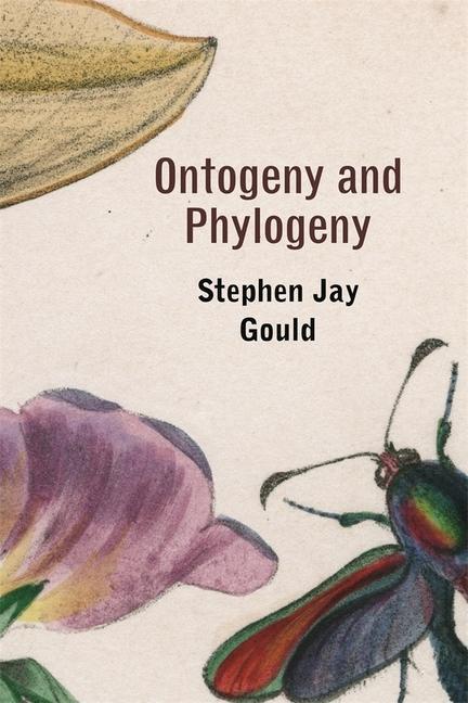 Ontogeny and Phylogeny - Gould, Stephen Jay