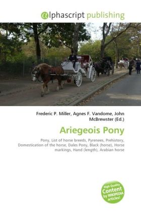 Ariegeois Pony