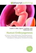 Human Embryogenesis