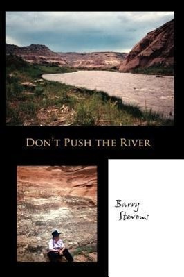 Don t Push the River - Stevens, Barry