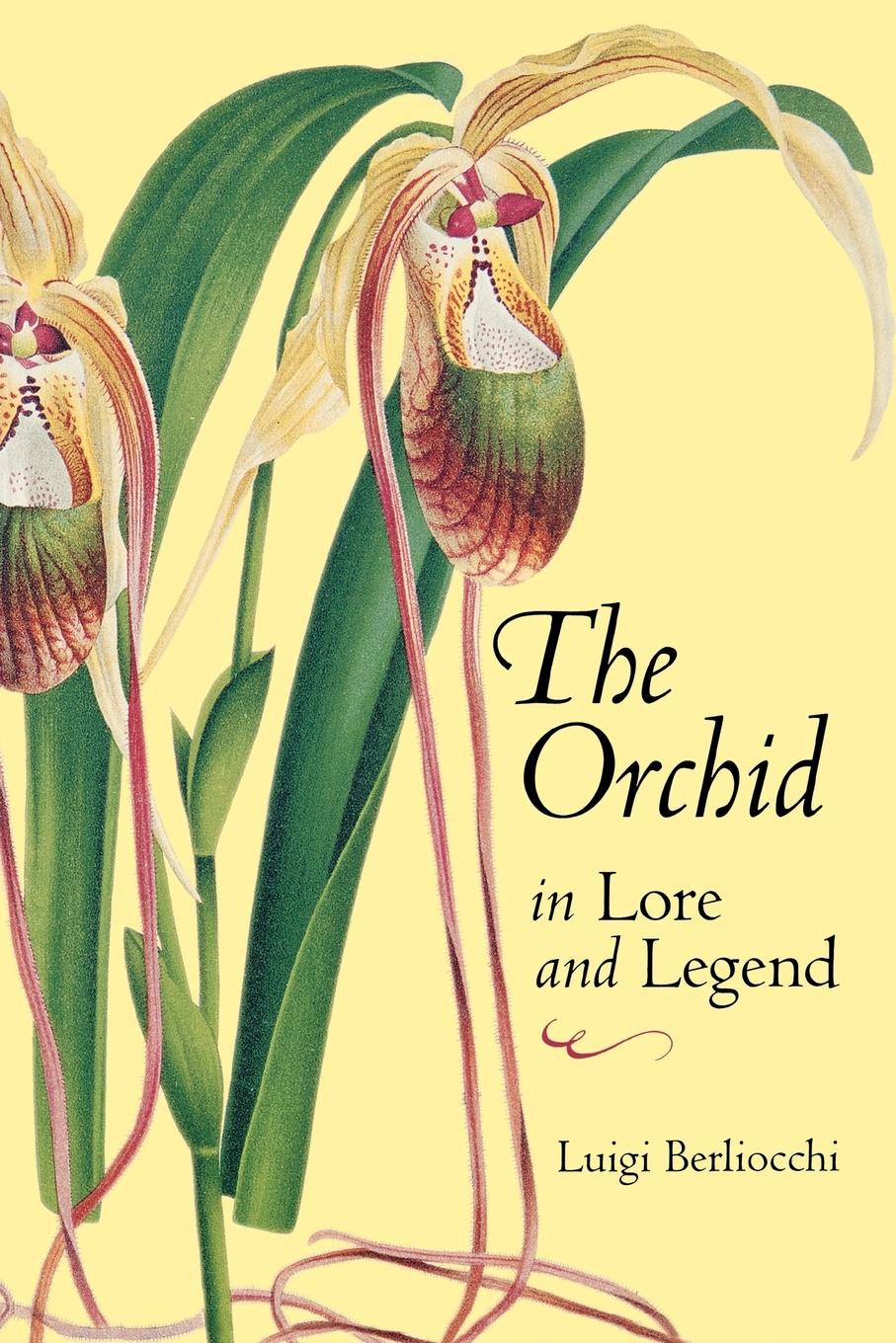 The Orchid in Lore and Legend - Berliocchi, Luigi