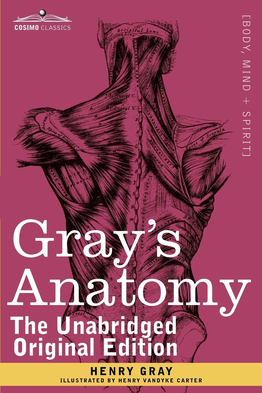Gray s Anatomy - Gray, Henry Carter, Henry Vandyke