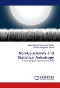 Non-Gaussianity and Statistical Anisotropy - Valenzuela Toledo, César Alonso Rodríguez García, Yeinzon
