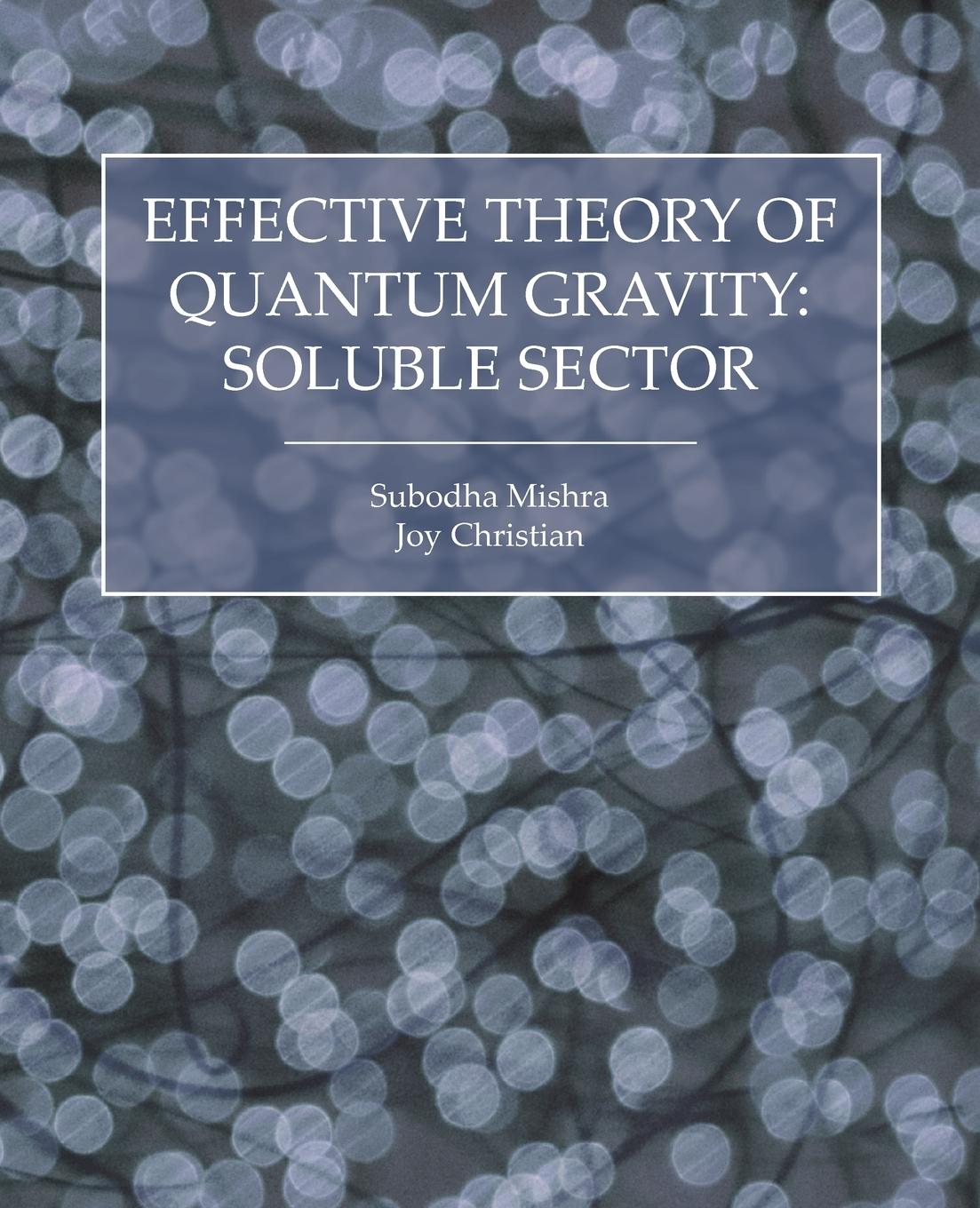 Effective Theory of Quantum Gravity - Mishra, Subodha Christian, Joy