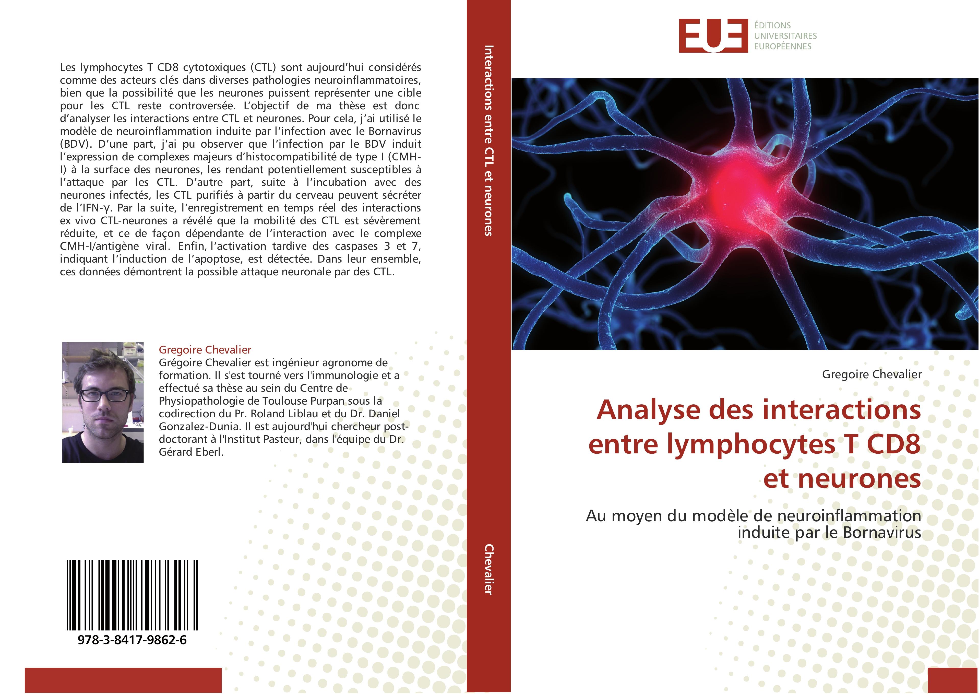 Analyse des interactions entre lymphocytes T CD8 et neurones - Gregoire Chevalier