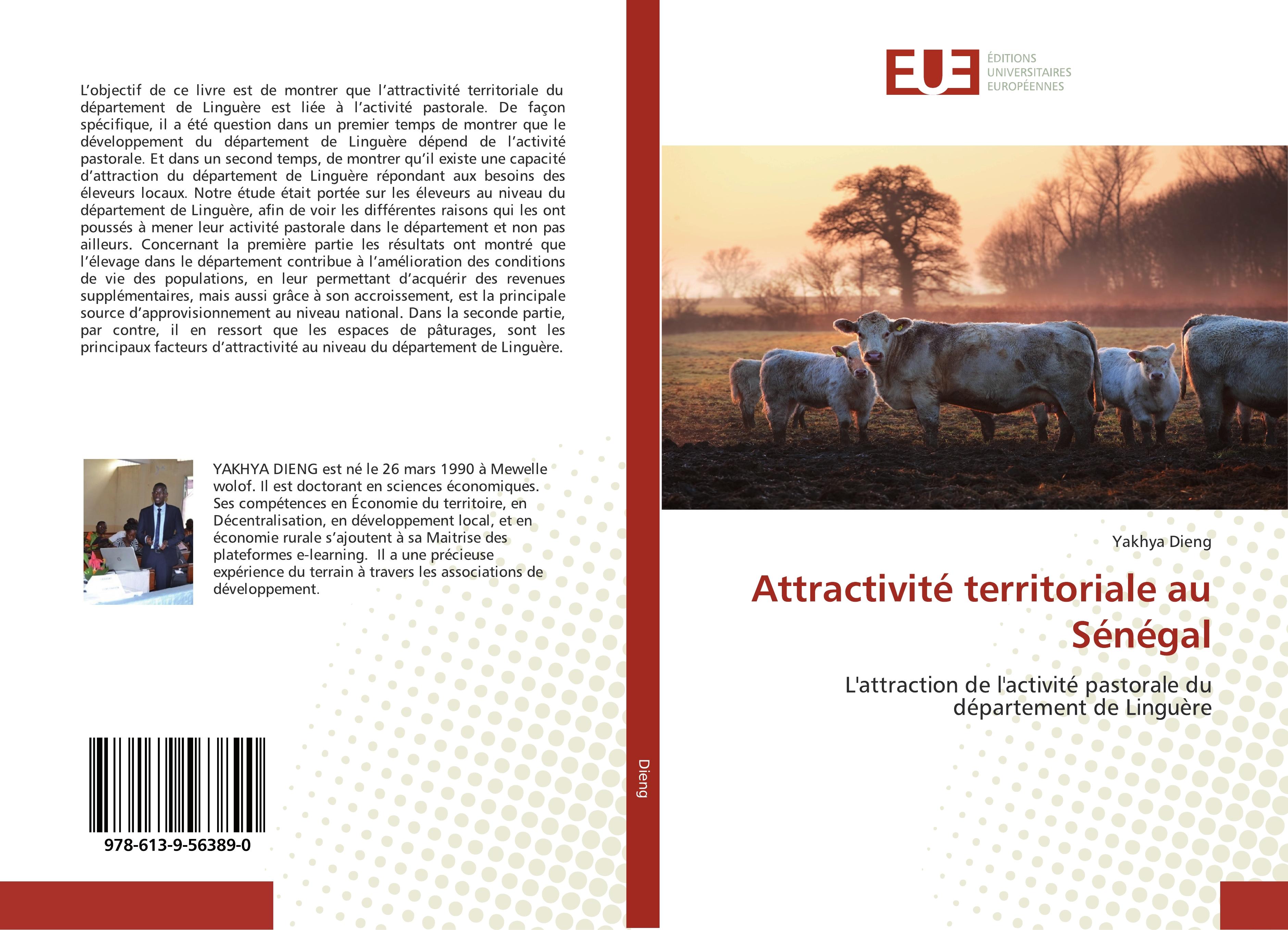 Attractivité territoriale au Sénégal - Yakhya Dieng