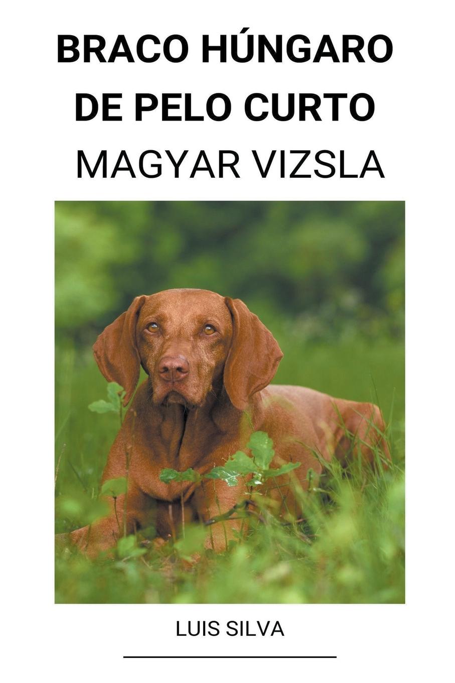 Braco Húngaro de pelo curto (Magyar Vizsla) - Silva, Luis