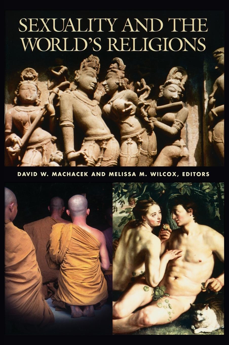 Sexuality and the World s Religions - Machacek, David W.