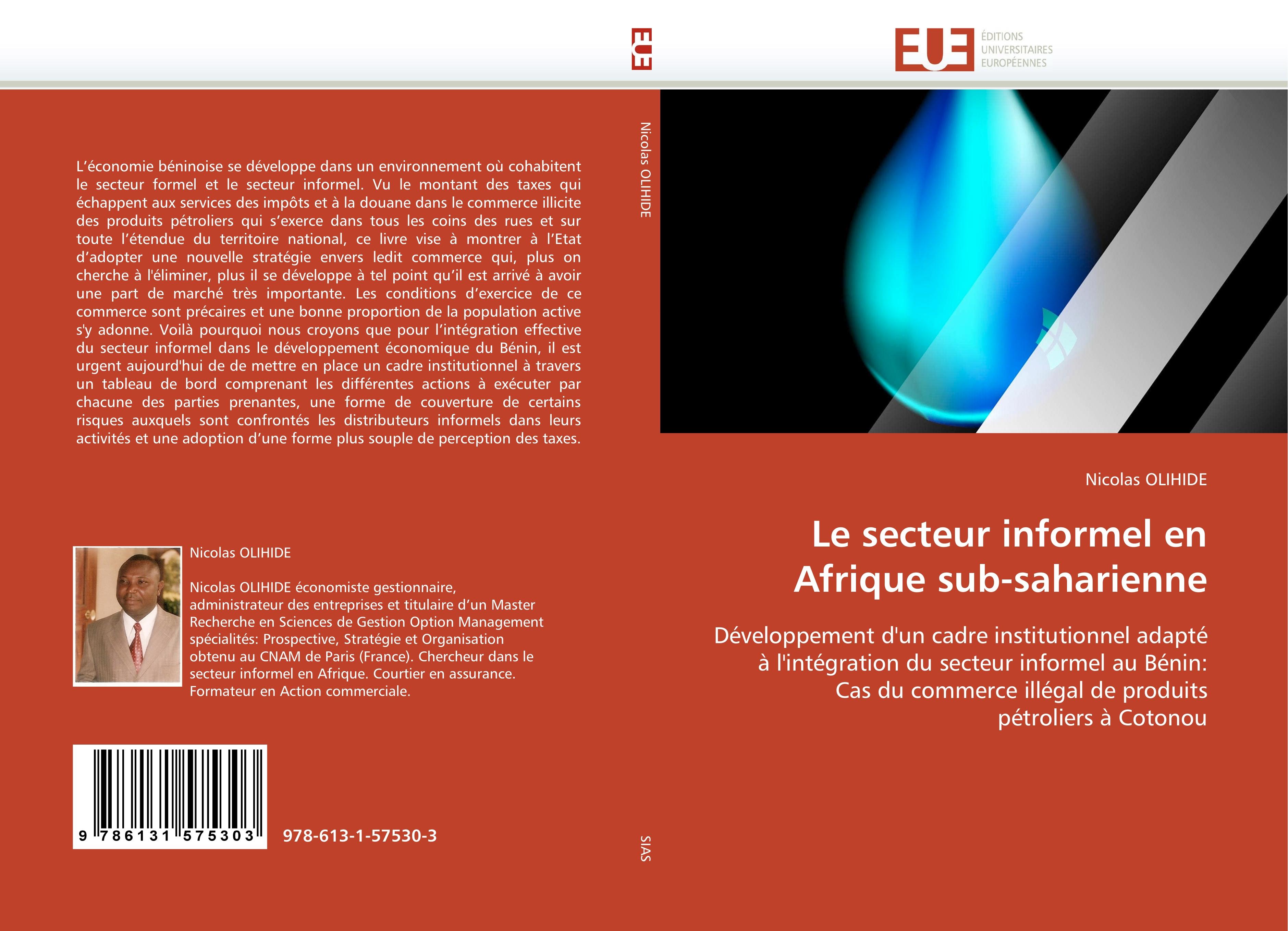 Le secteur informel en Afrique sub-saharienne - Nicolas OLIHIDE