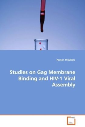 Studies on Gag Membrane Binding and HIV-1 Viral Assembly - Provitera, Paxton