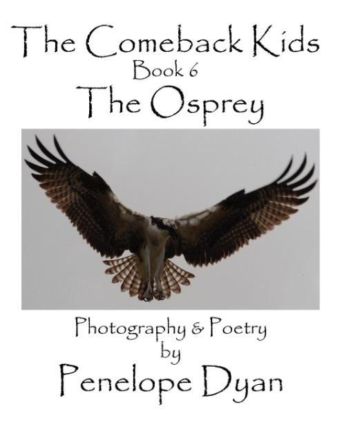The Comeback Kids, Book 6, The Osprey - Dyan, Penelope