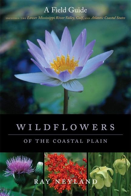 Wildflowers of the Coastal Plain: A Field Guide - Neyland, Ray