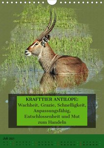 Afrikanische Krafttiere Und Deren Bedeutung Wandkalender 2021 Din A4 Hoch 385497774 17 99