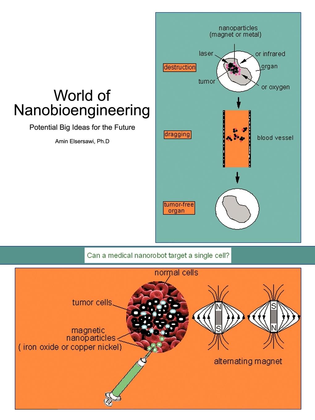 World of Nanobioengineering - Elsersawi Ph. D, Amin