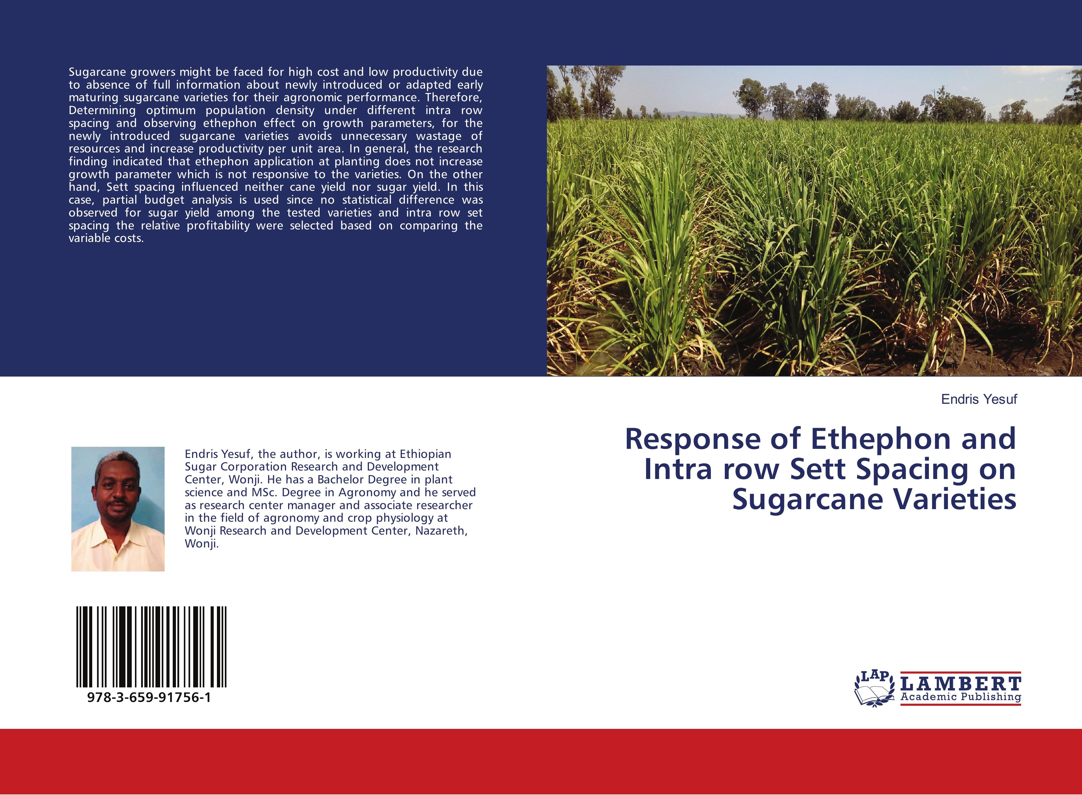 Response of Ethephon and Intra row Sett Spacing on Sugarcane Varieties - Endris Yesuf