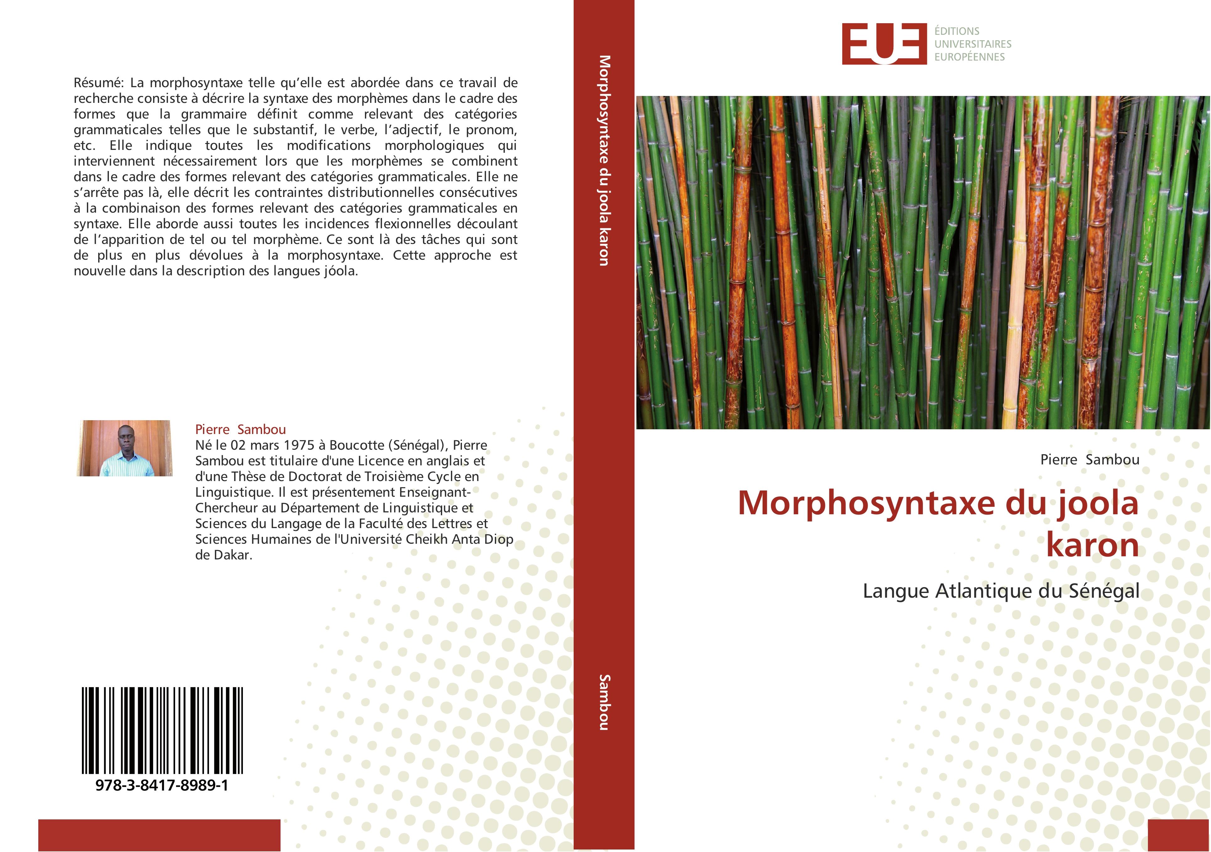 Morphosyntaxe du joola karon - Pierre Sambou