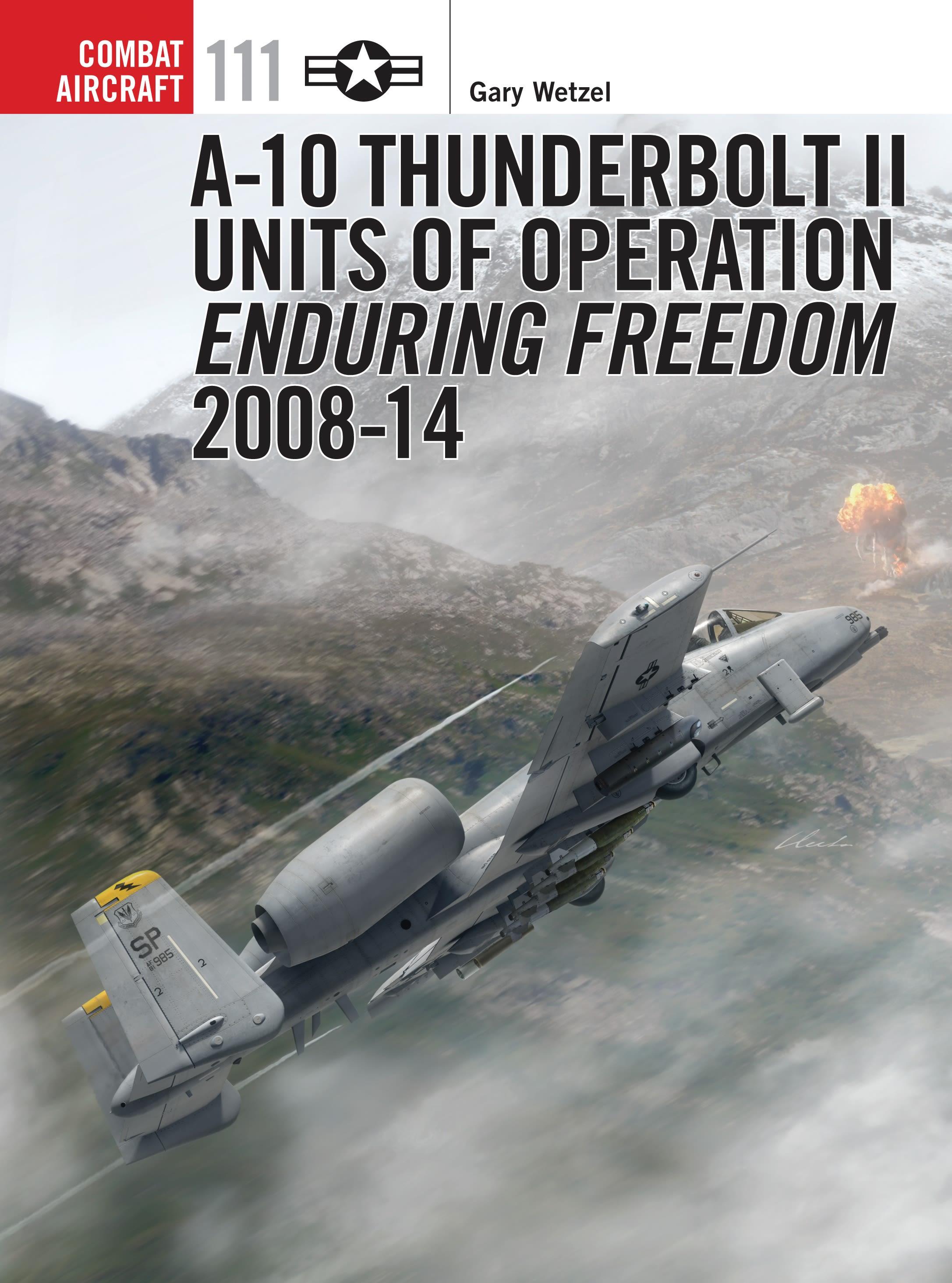 A-10 Thunderbolt II Units of Operation Enduring Freedom 2008-14 - Wetzel, Gary