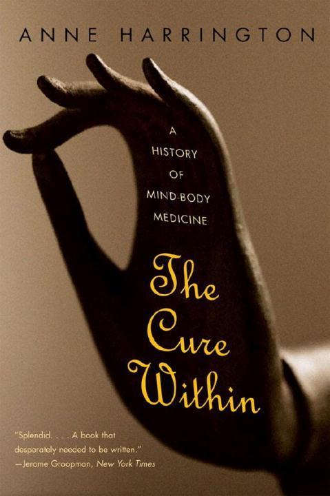 The Cure Within: A History of Mind-Body Medicine - Harrington, Anne