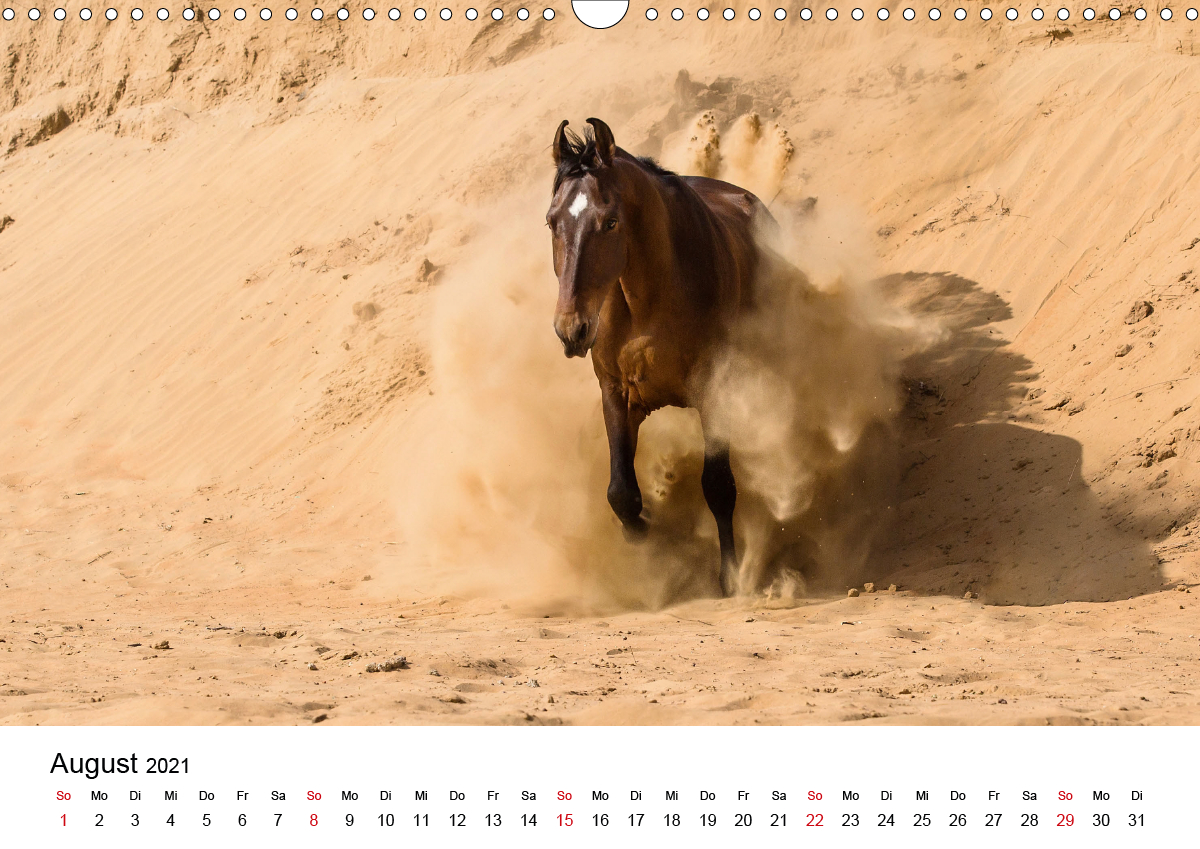 Arabian Pferde 2021 Kalender 15% OFF Multi Bestellungen ...