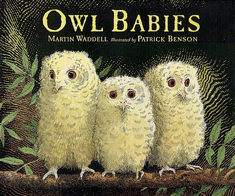 Owl Babies Big Book - Martin Waddell